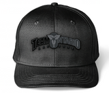 TEAM ONTARIO - BD STEALTH - 6PANEL SNAP BACK